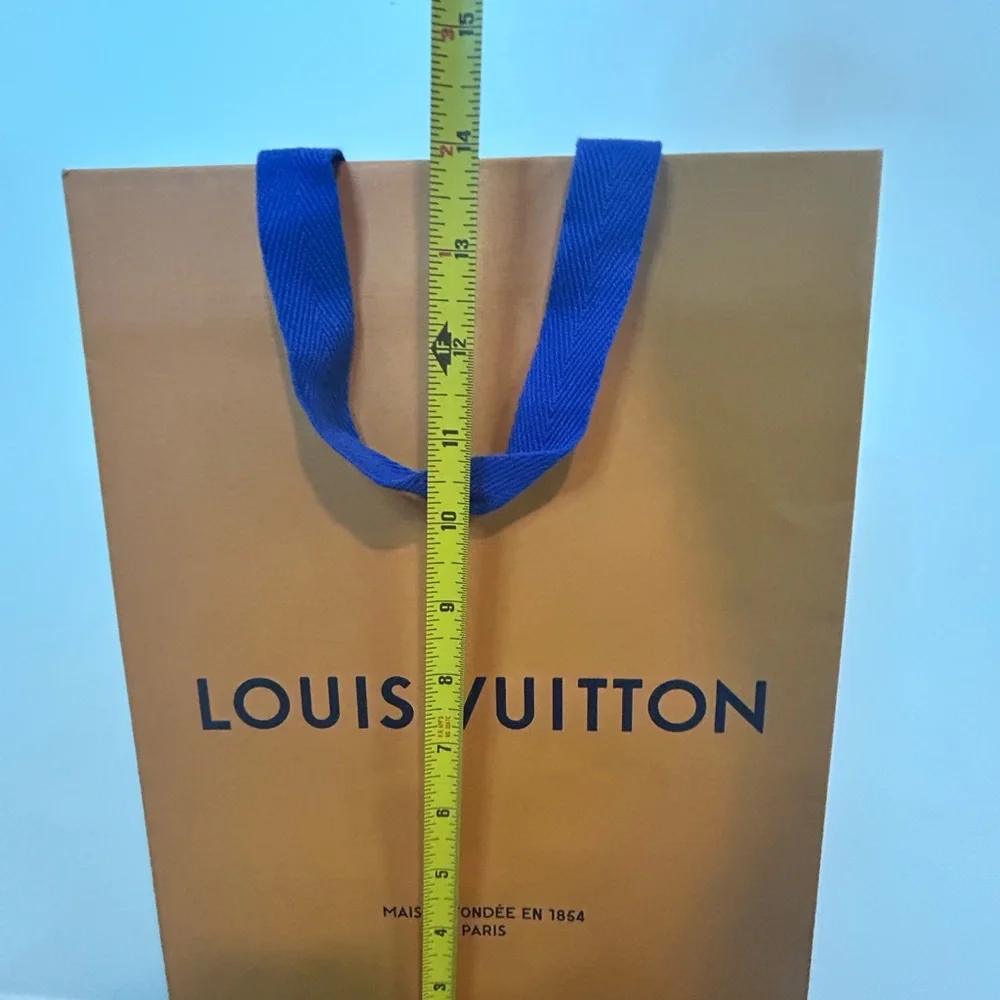 Louis Vuitton gift bag